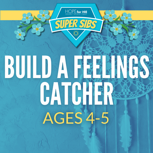 Build a Feelings Catcher: Loss 4-5
