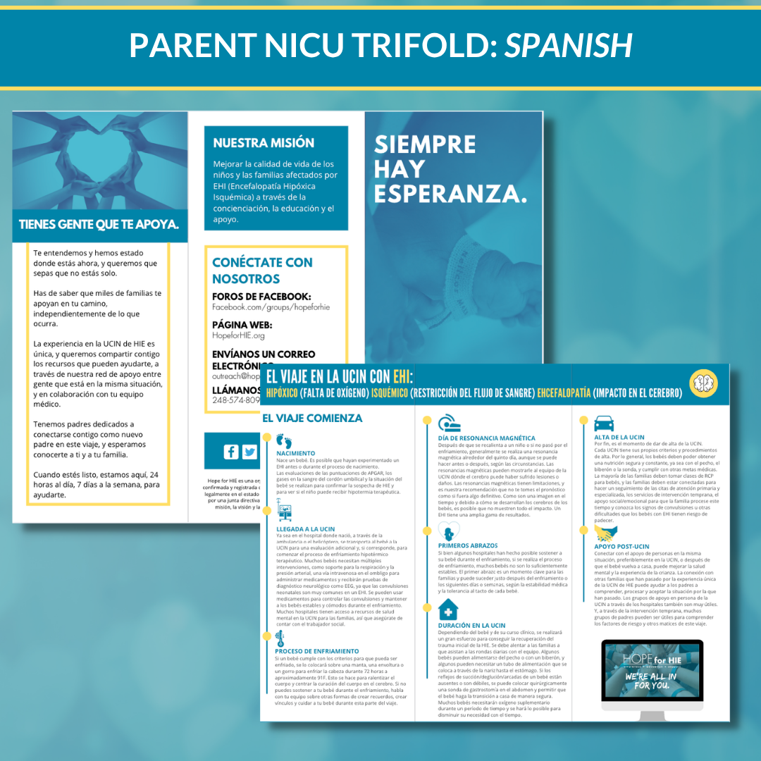 NICU Parent Timeline - SPANISH