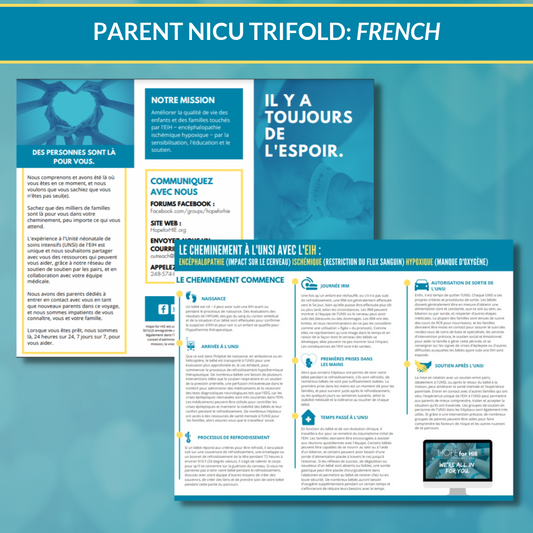 NICU Parent Timeline - FRENCH