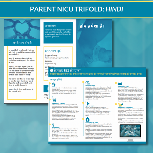 NICU Parent Timeline- Hindi