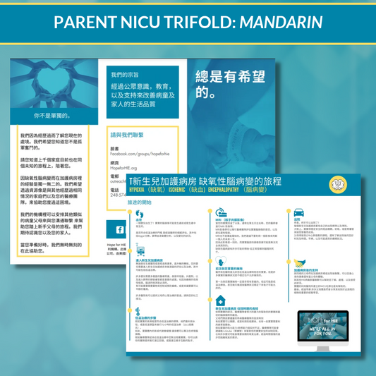 NICU Parent Timeline - MANDARIN