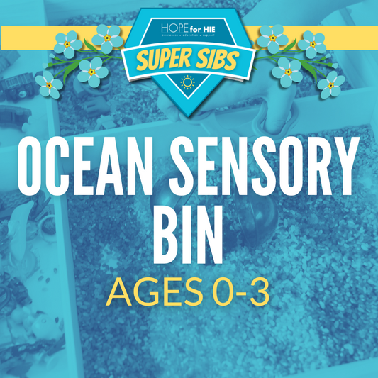 Build an Ocean Sensory Bin: Loss 0-3