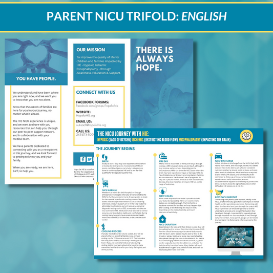 NICU Parent Timeline- English